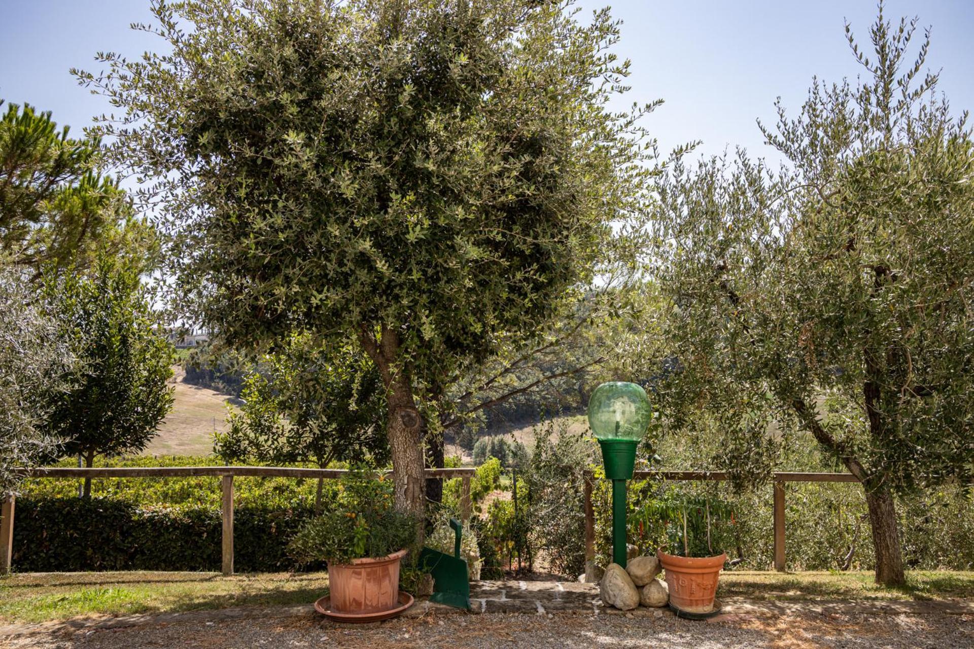 Sole Verde Green House Terricciola Dış mekan fotoğraf