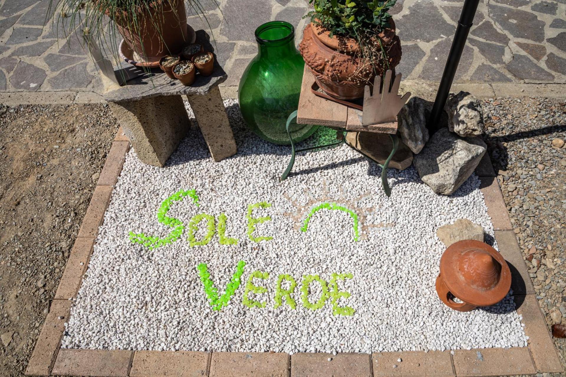 Sole Verde Green House Terricciola Dış mekan fotoğraf