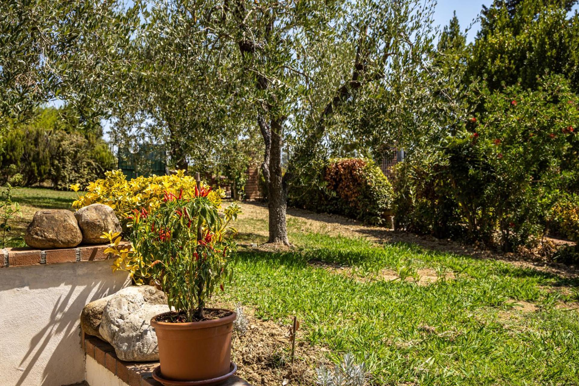 Sole Verde Green House Terricciola Dış mekan fotoğraf