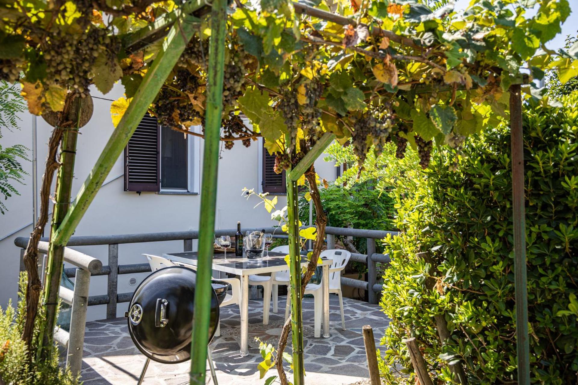 Sole Verde Green House Terricciola Dış mekan fotoğraf