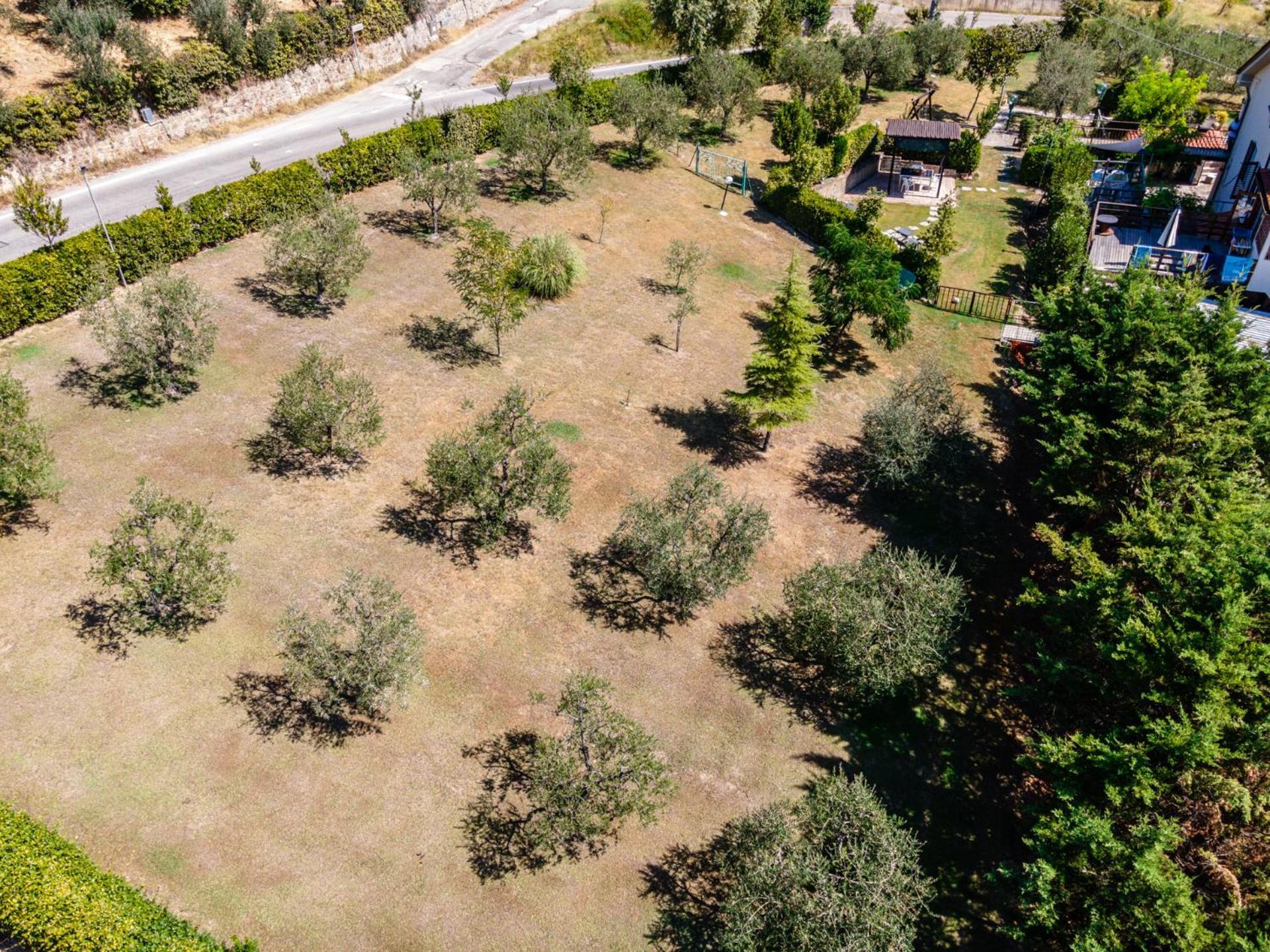 Sole Verde Green House Terricciola Dış mekan fotoğraf
